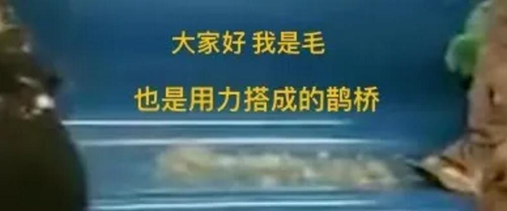 港澳免费宝典大全