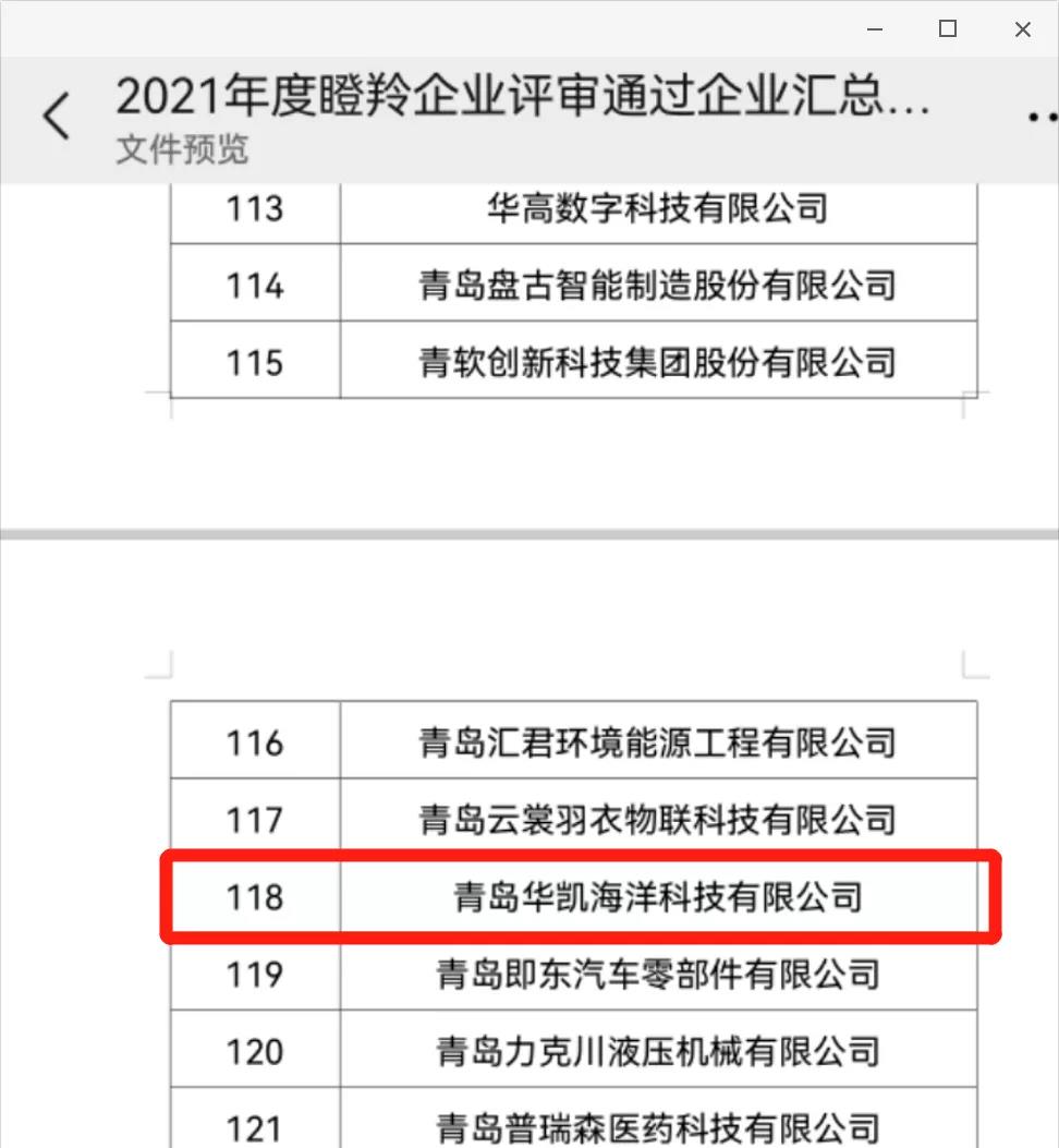 瞪羚企业