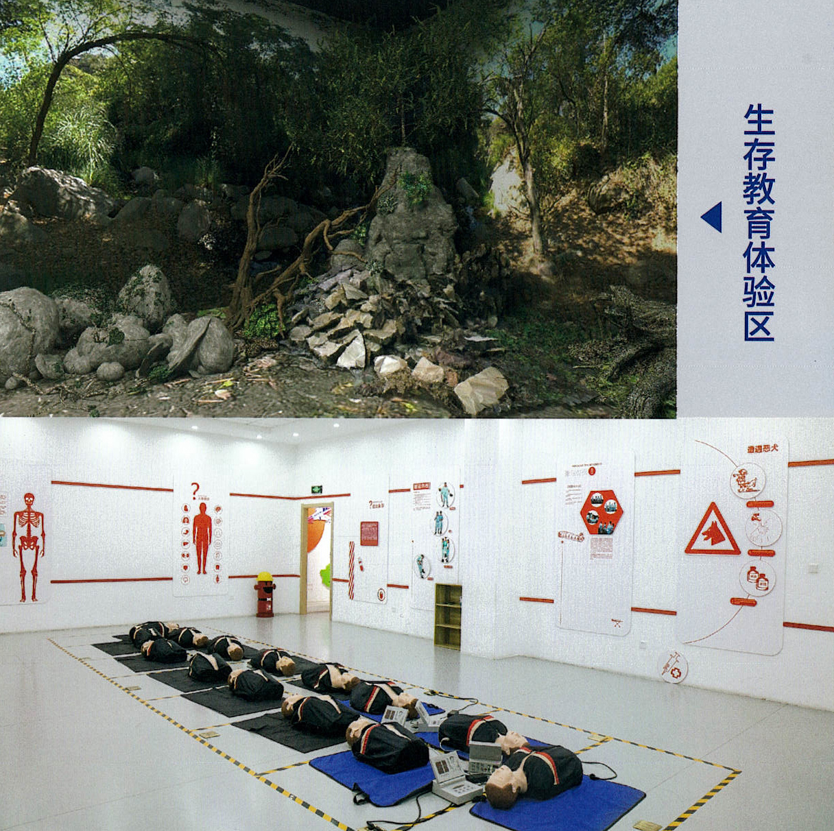 港澳免费宝典大全